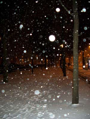amsterdam winter