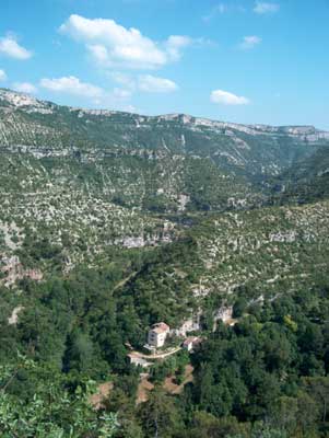 cevennes