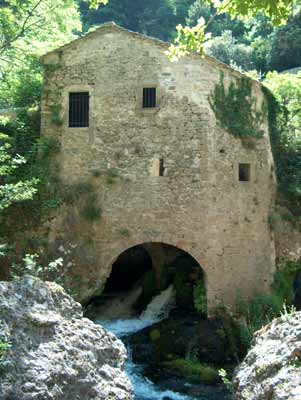 cevennes