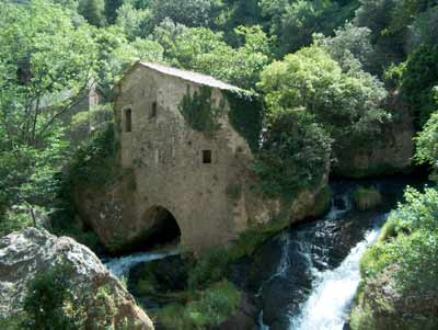 cevennes