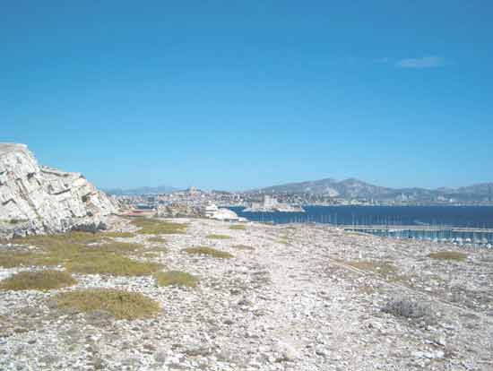 frioul-marseille