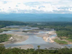 jungle amazonia ecuador