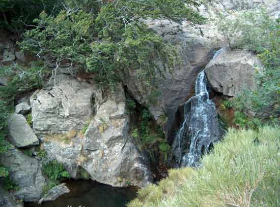 saut-vesoles