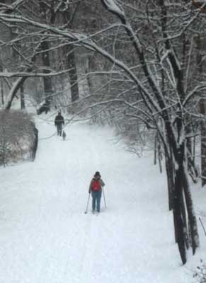 ski central park snow nyc