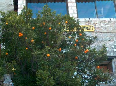 provence-orange